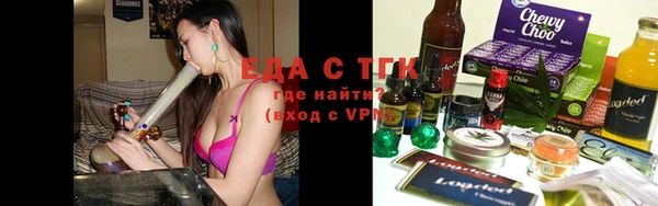 индика Инсар