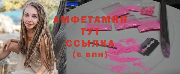 индика Инсар
