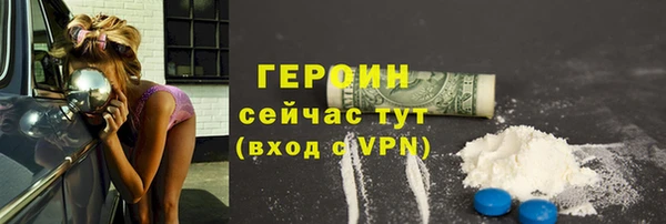 индика Инсар