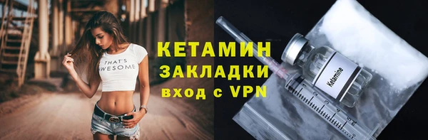 индика Инсар