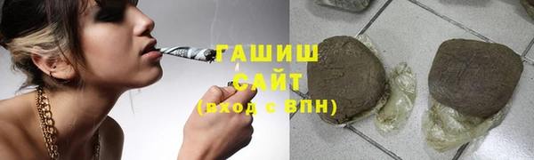 индика Инсар