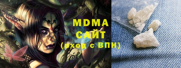 индика Инсар