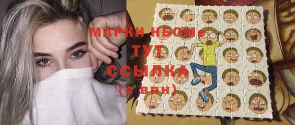 индика Инсар