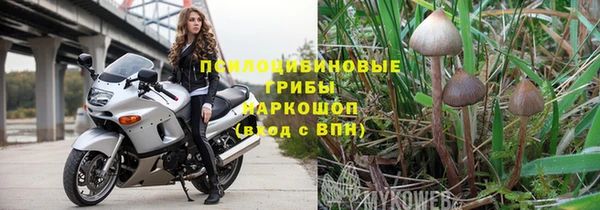 индика Инсар