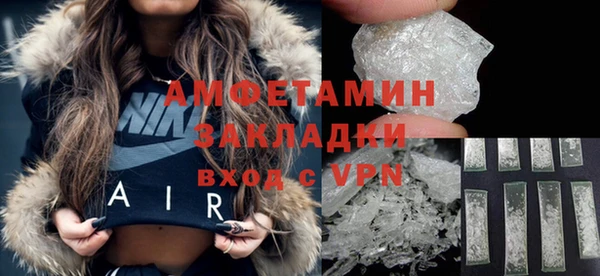 индика Инсар