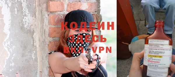 индика Инсар