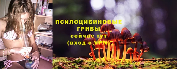 герыч Иннополис