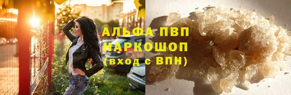 индика Инсар