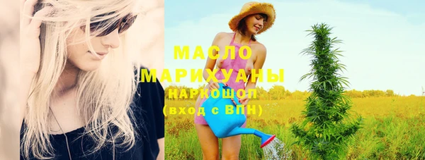 индика Инсар