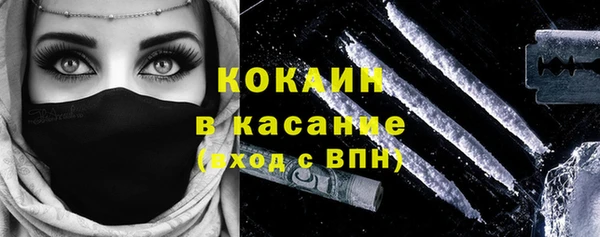 индика Инсар