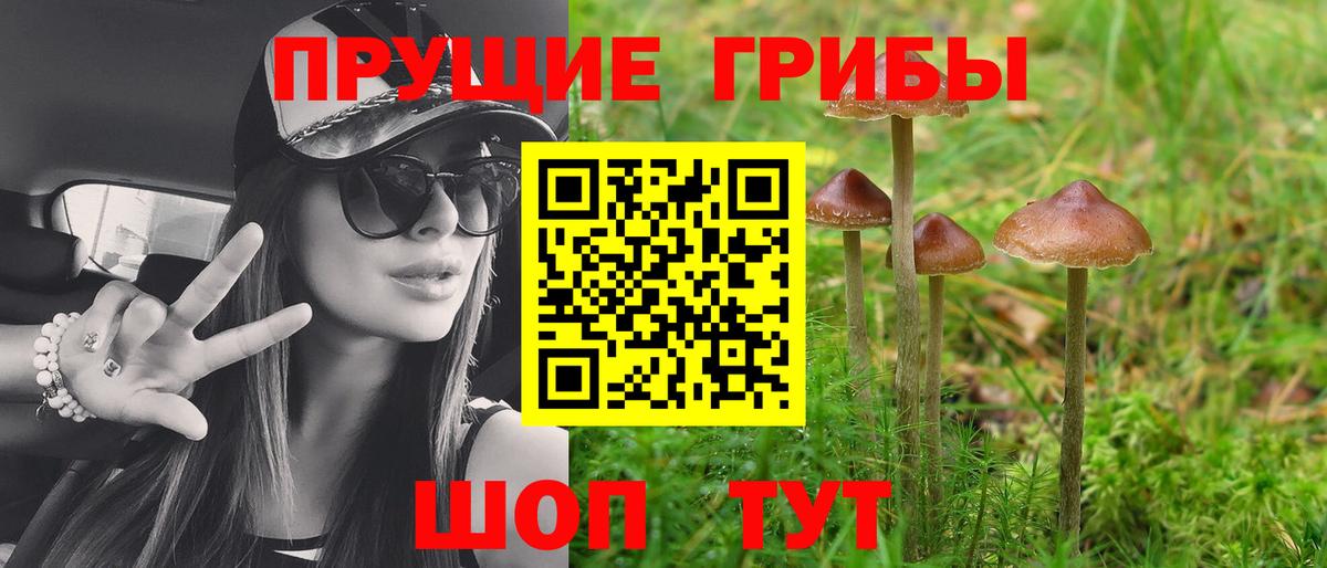 Галлюциногенные грибы Psilocybine cubensis Снежинск